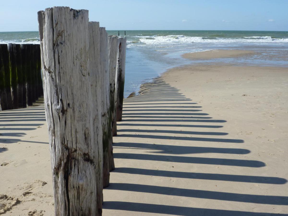 Vakantiehuis Domburg Do08 Met Sauna! Екстериор снимка