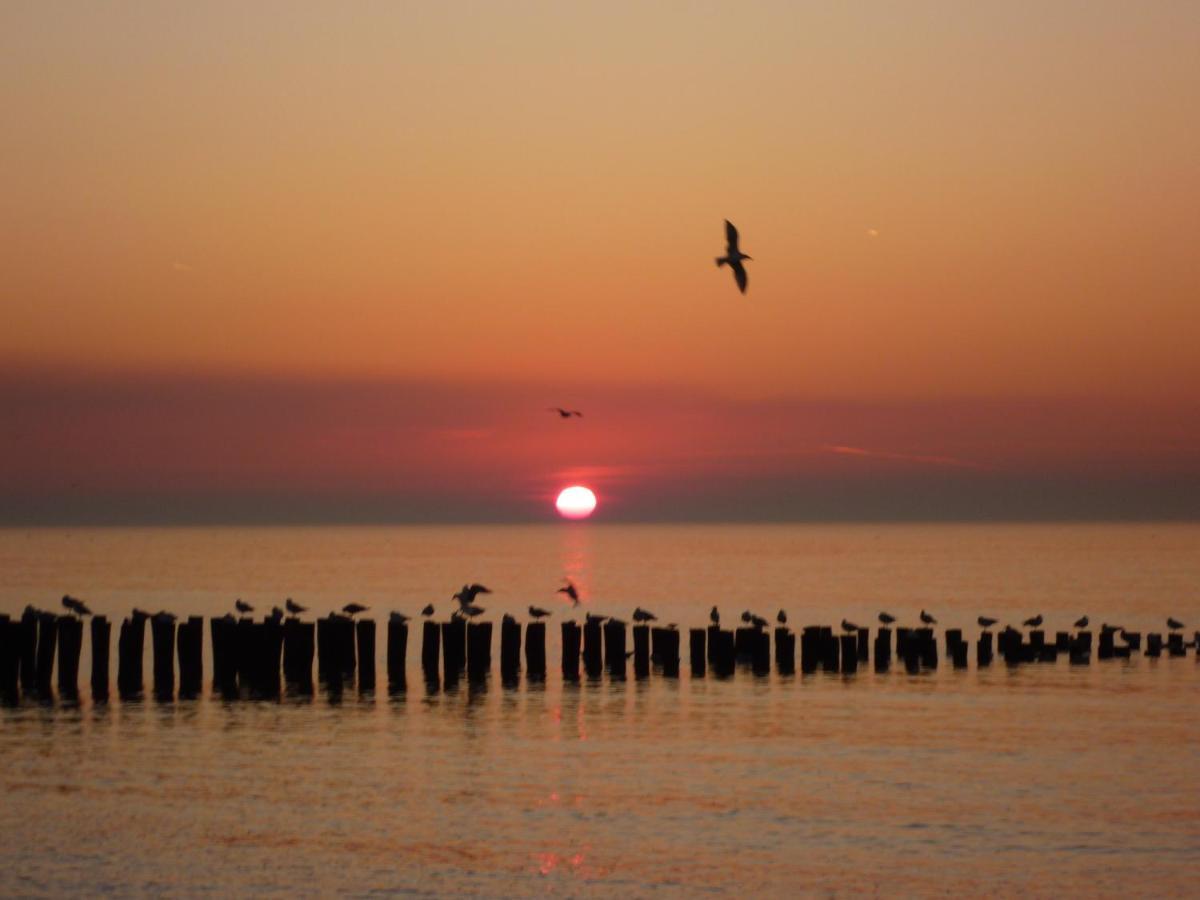 Vakantiehuis Domburg Do08 Met Sauna! Екстериор снимка